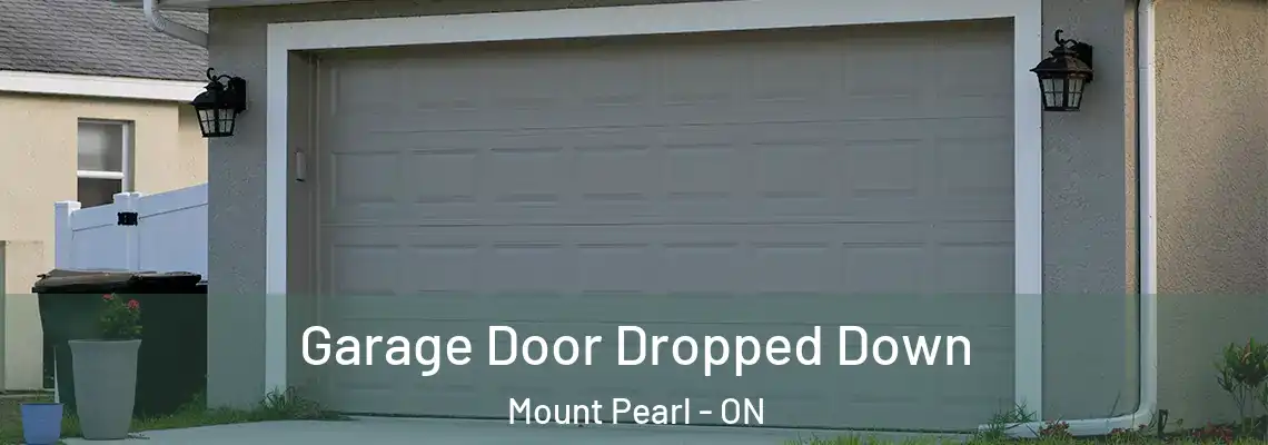Garage Door Dropped Down Mount Pearl - ON