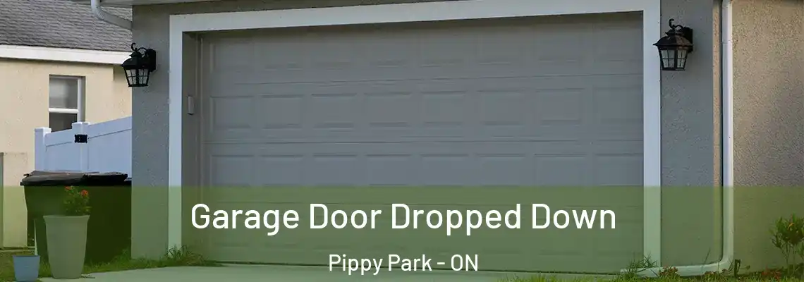 Garage Door Dropped Down Pippy Park - ON