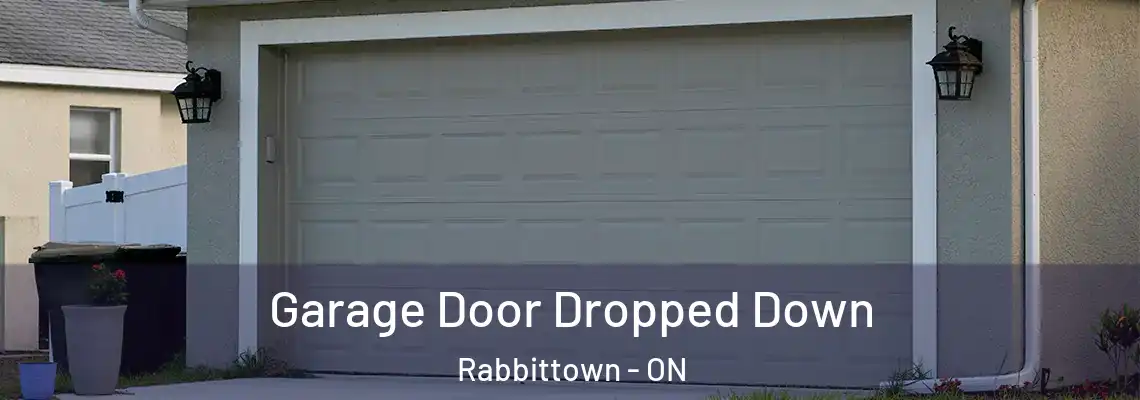 Garage Door Dropped Down Rabbittown - ON
