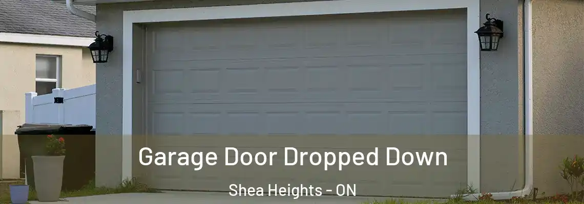 Garage Door Dropped Down Shea Heights - ON