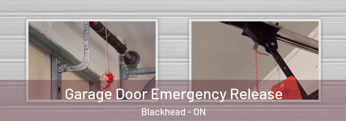 Garage Door Emergency Release Blackhead - ON