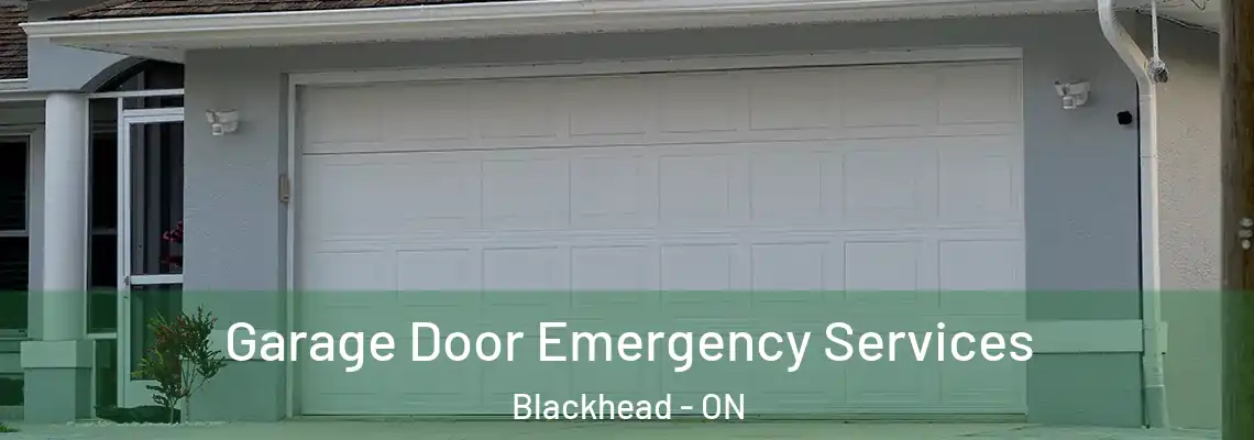 Garage Door Emergency Services Blackhead - ON