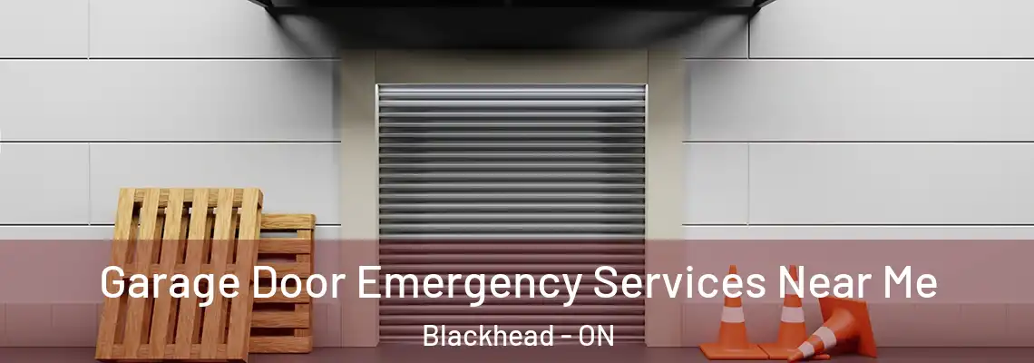 Garage Door Emergency Services Near Me Blackhead - ON
