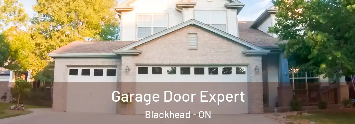 Garage Door Expert Blackhead - ON
