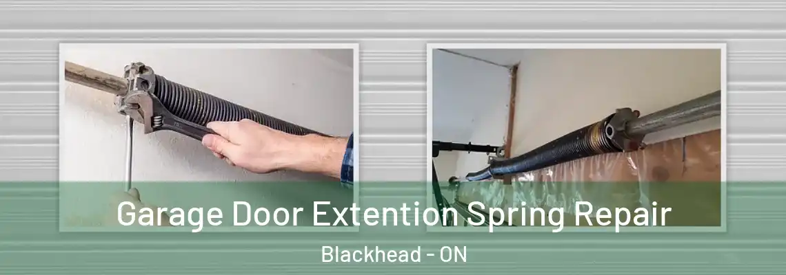 Garage Door Extention Spring Repair Blackhead - ON