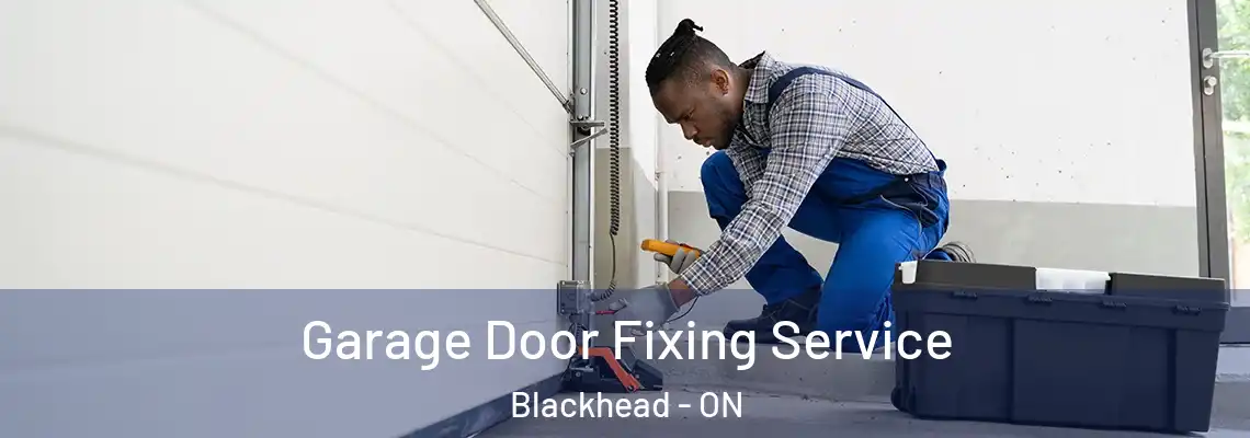 Garage Door Fixing Service Blackhead - ON