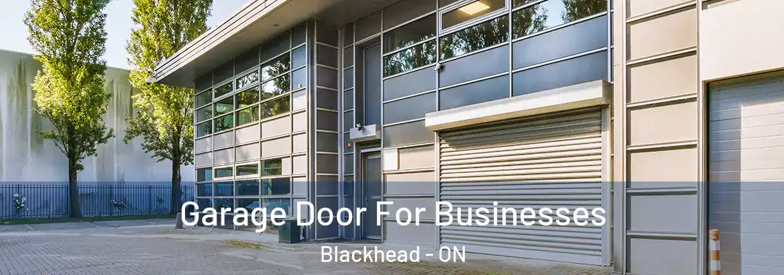 Garage Door For Businesses Blackhead - ON