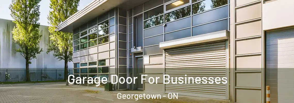 Garage Door For Businesses Georgetown - ON