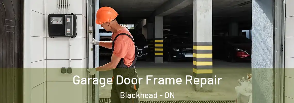 Garage Door Frame Repair Blackhead - ON