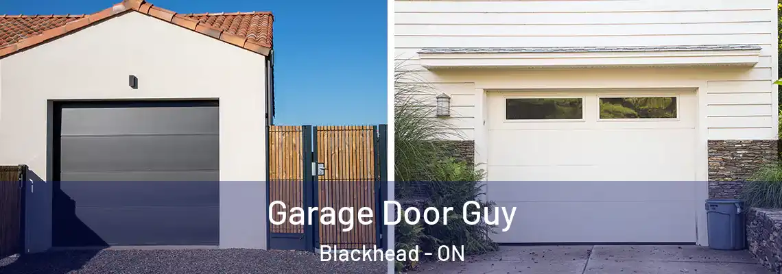 Garage Door Guy Blackhead - ON