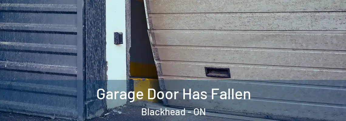 Garage Door Has Fallen Blackhead - ON