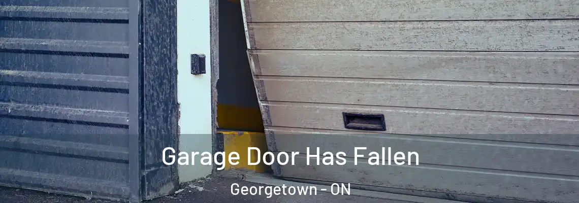 Garage Door Has Fallen Georgetown - ON