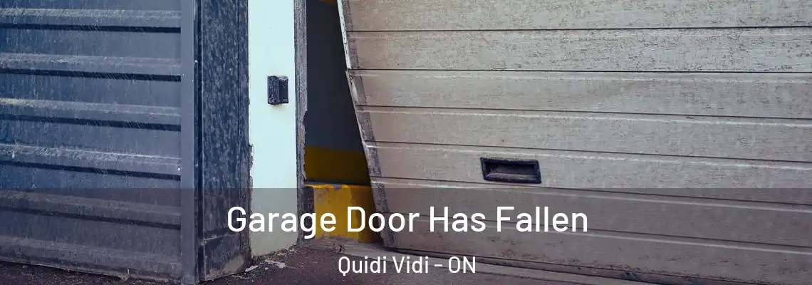 Garage Door Has Fallen Quidi Vidi - ON