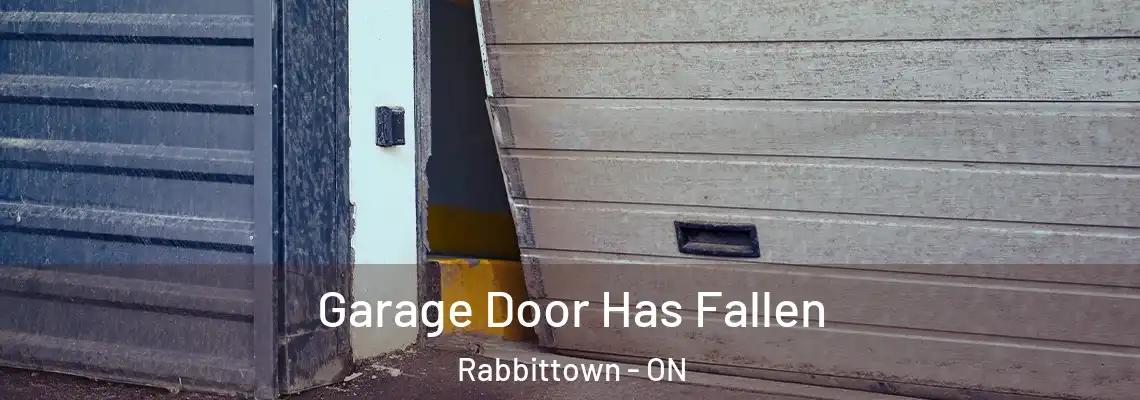 Garage Door Has Fallen Rabbittown - ON