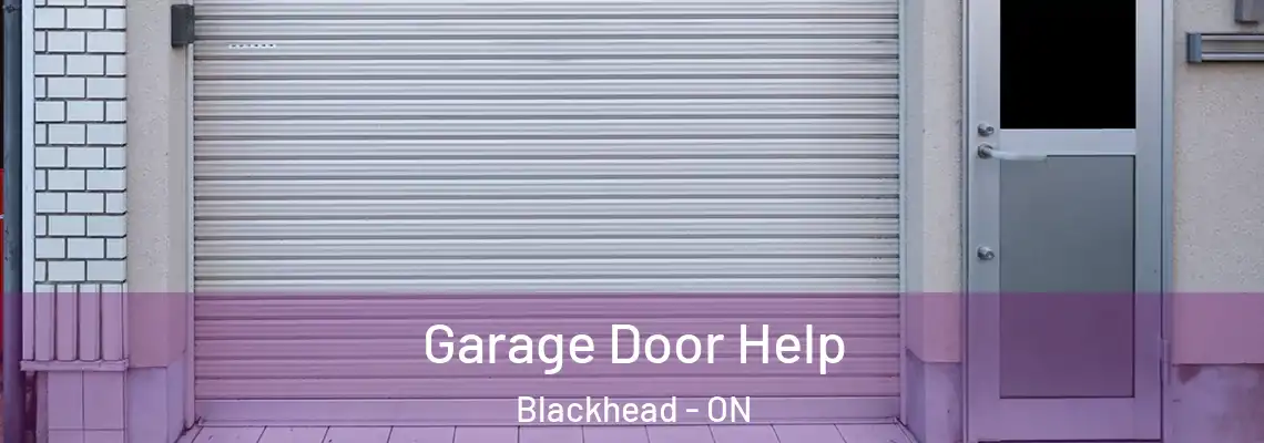 Garage Door Help Blackhead - ON