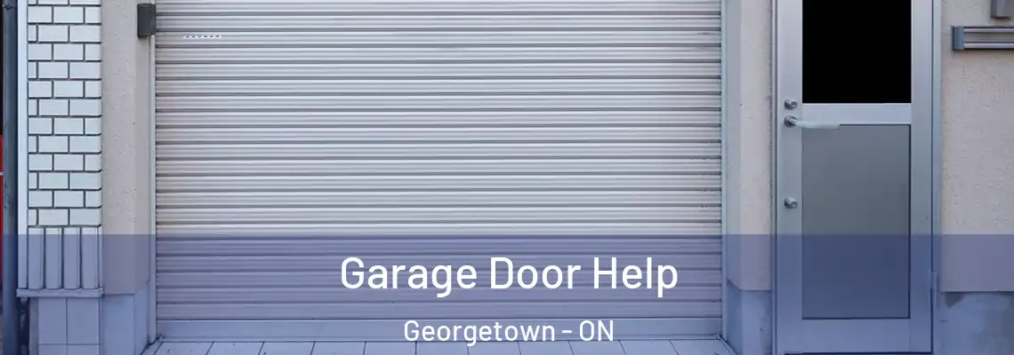 Garage Door Help Georgetown - ON