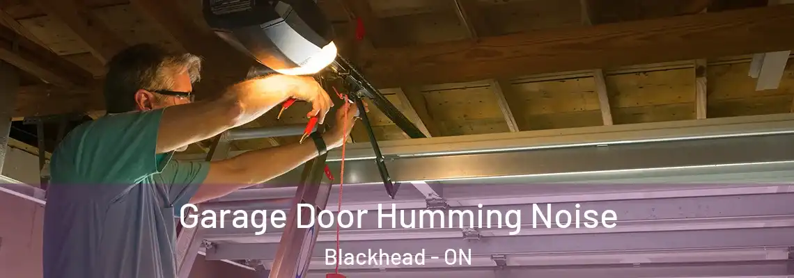 Garage Door Humming Noise Blackhead - ON