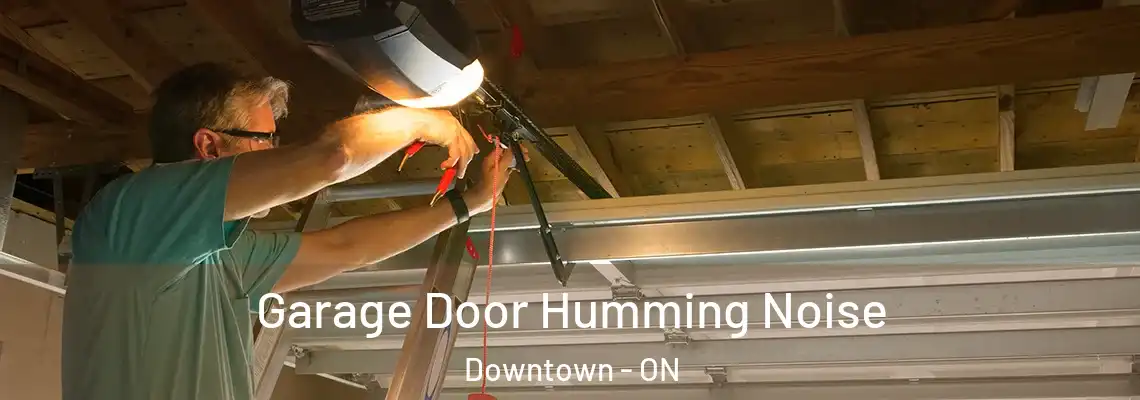 Garage Door Humming Noise Downtown - ON