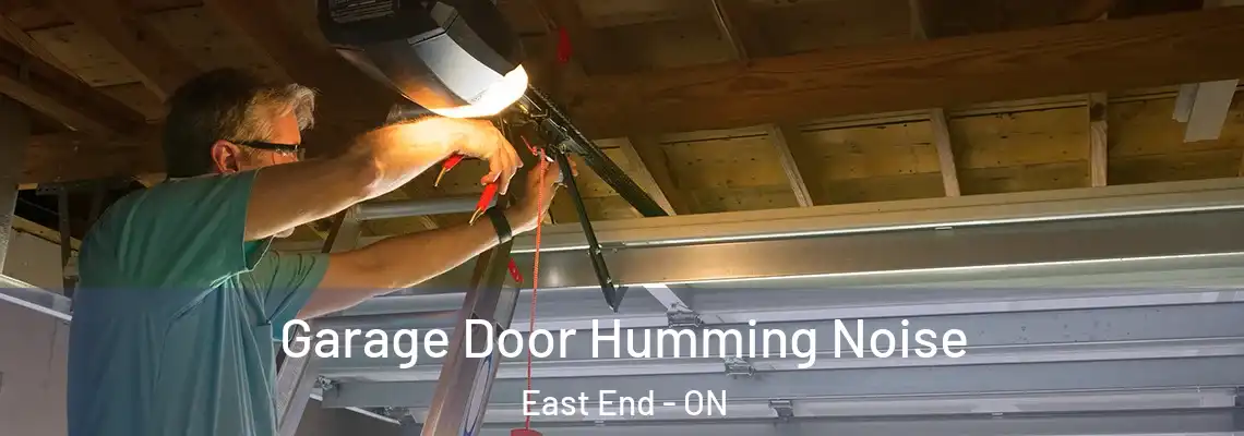 Garage Door Humming Noise East End - ON
