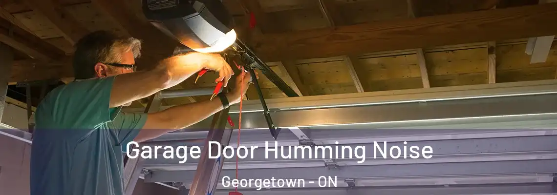 Garage Door Humming Noise Georgetown - ON