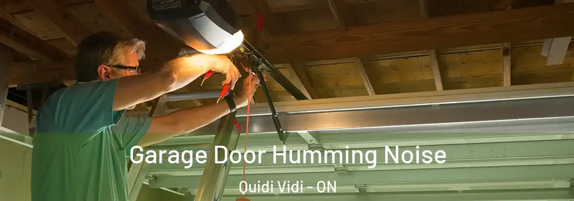 Garage Door Humming Noise Quidi Vidi - ON