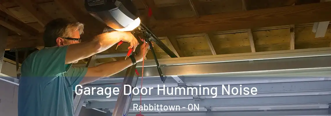 Garage Door Humming Noise Rabbittown - ON