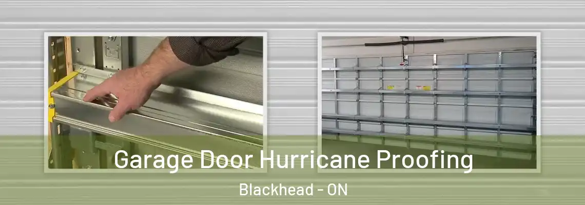 Garage Door Hurricane Proofing Blackhead - ON