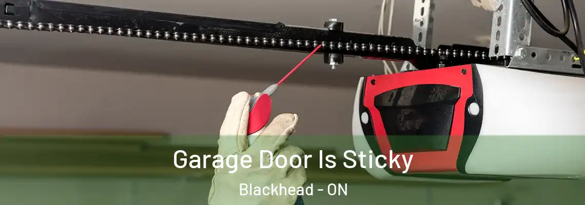 Garage Door Is Sticky Blackhead - ON