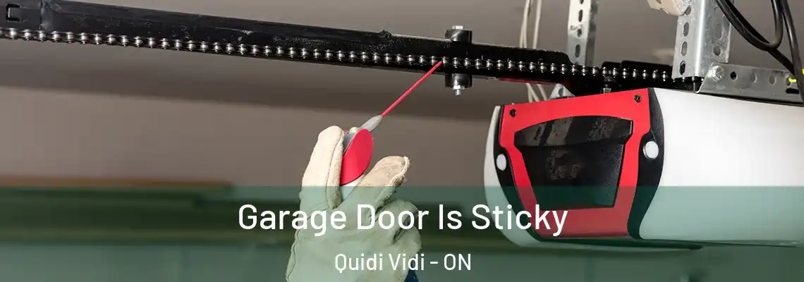 Garage Door Is Sticky Quidi Vidi - ON