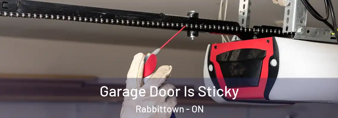 Garage Door Is Sticky Rabbittown - ON