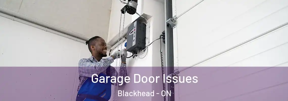 Garage Door Issues Blackhead - ON