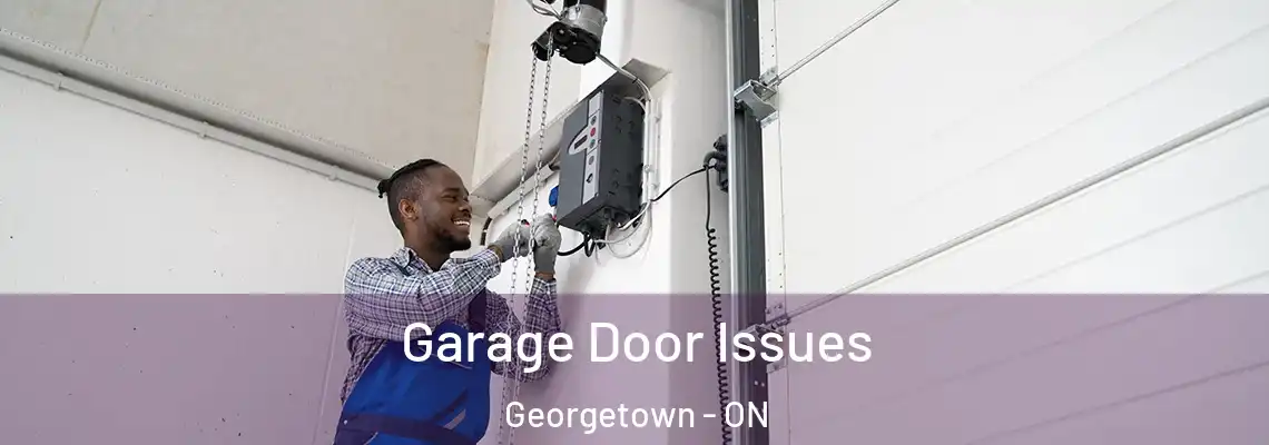 Garage Door Issues Georgetown - ON