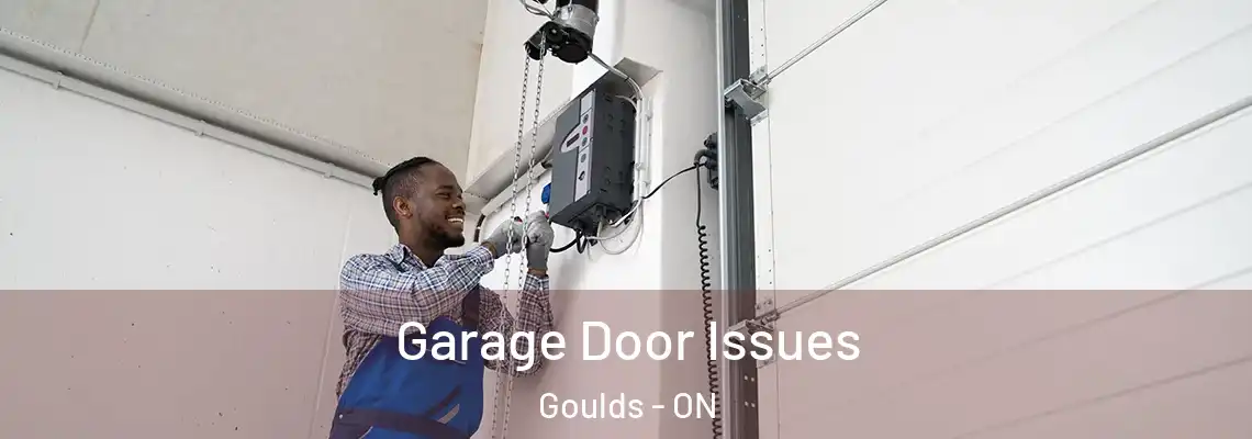 Garage Door Issues Goulds - ON