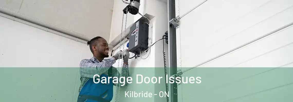 Garage Door Issues Kilbride - ON