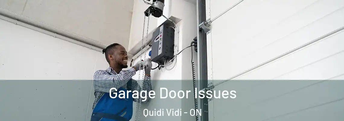 Garage Door Issues Quidi Vidi - ON