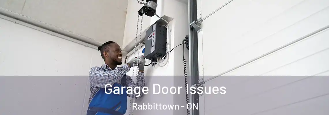 Garage Door Issues Rabbittown - ON