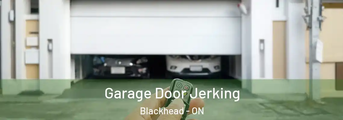 Garage Door Jerking Blackhead - ON