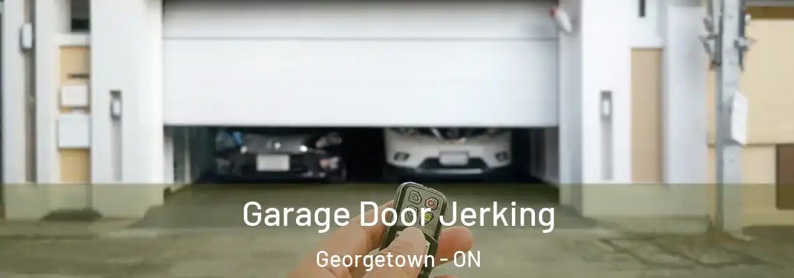 Garage Door Jerking Georgetown - ON