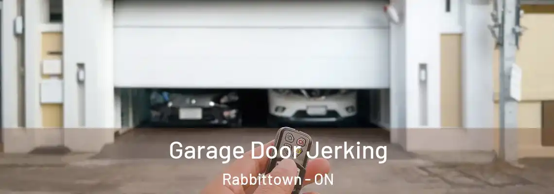 Garage Door Jerking Rabbittown - ON