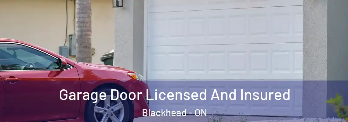 Garage Door Licensed And Insured Blackhead - ON