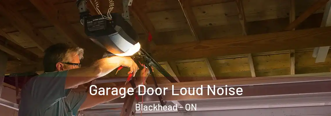 Garage Door Loud Noise Blackhead - ON