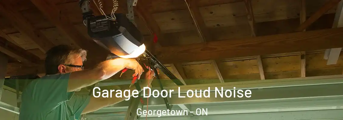 Garage Door Loud Noise Georgetown - ON