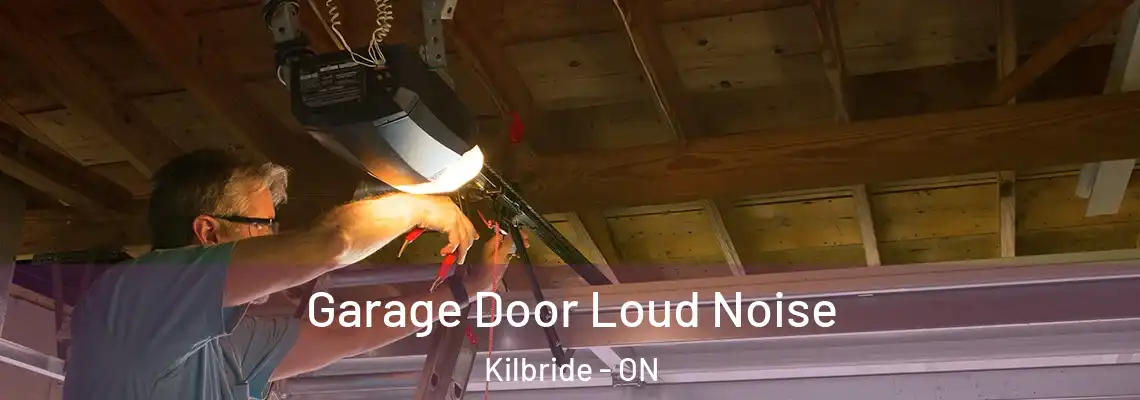 Garage Door Loud Noise Kilbride - ON