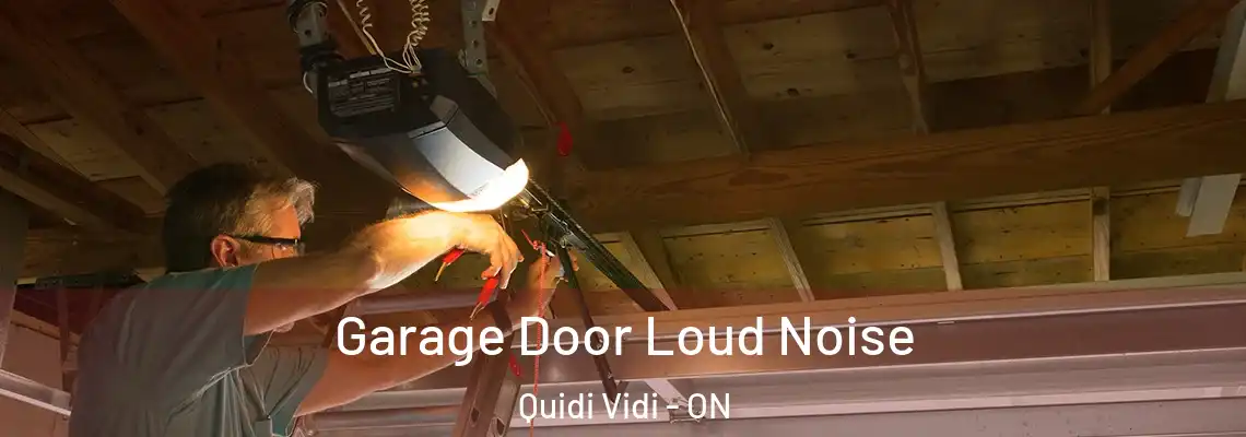 Garage Door Loud Noise Quidi Vidi - ON