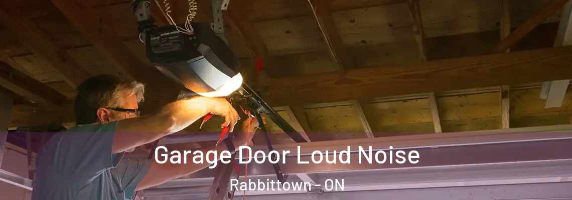 Garage Door Loud Noise Rabbittown - ON