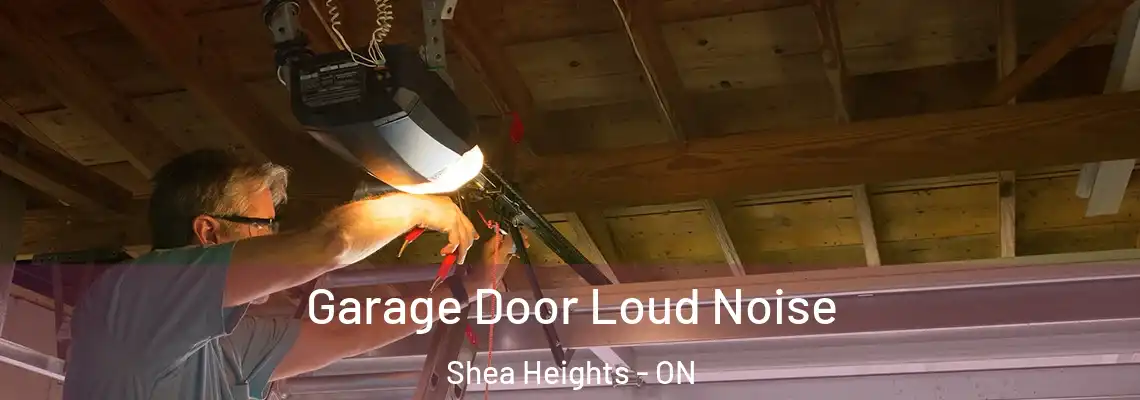 Garage Door Loud Noise Shea Heights - ON