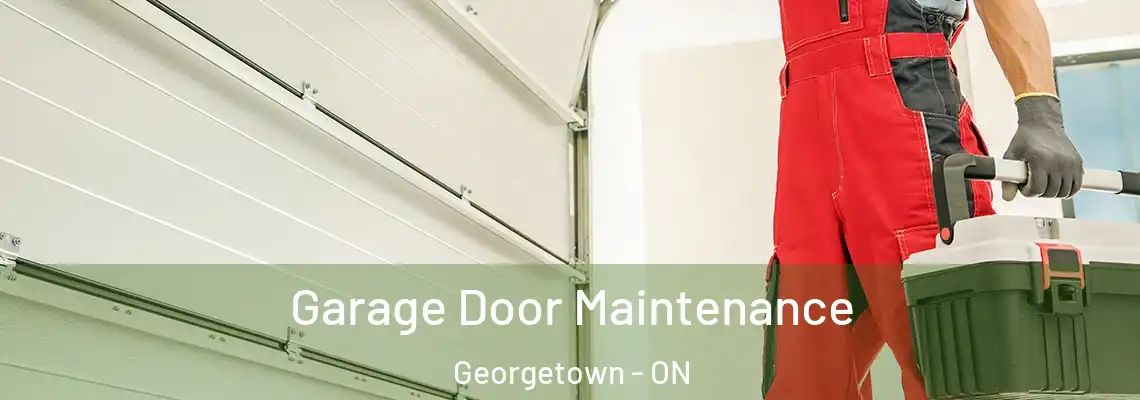 Garage Door Maintenance Georgetown - ON