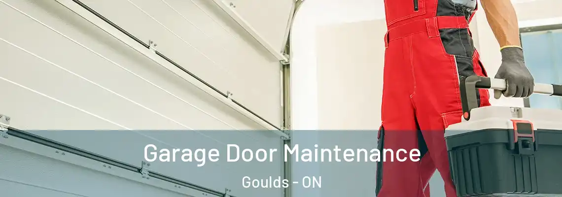 Garage Door Maintenance Goulds - ON
