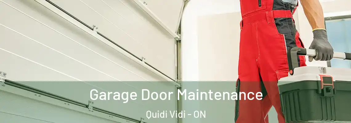Garage Door Maintenance Quidi Vidi - ON