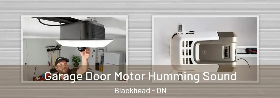 Garage Door Motor Humming Sound Blackhead - ON